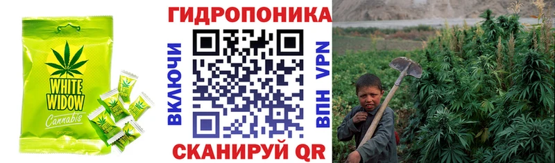 Cannafood конопля Краснотурьинск