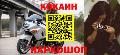прущие грибы Владивосток