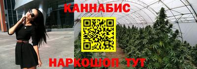 крисы Владимир