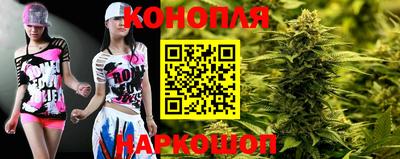 крисы Владимир