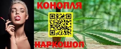 прущие грибы Владивосток