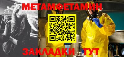 прущие грибы Владивосток
