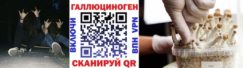 Псилоцибиновые грибы Cubensis  Краснотурьинск 